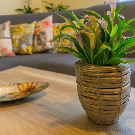 House Midas Casa de Férias *