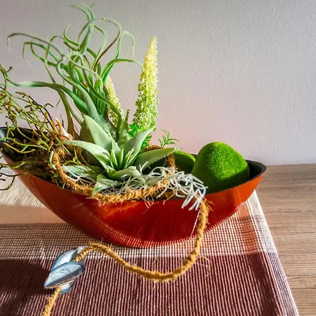 House Midas Vikendica