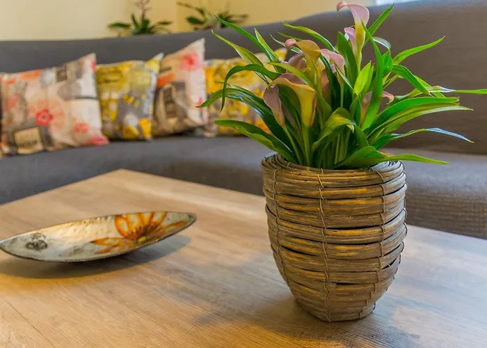 House Midas Holiday home *